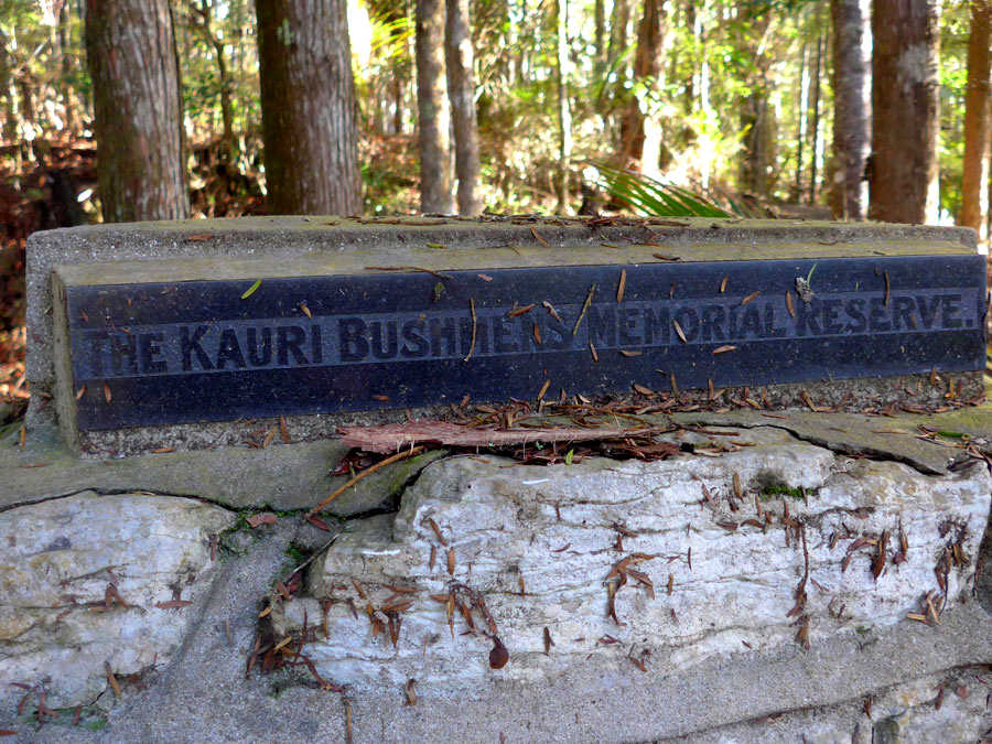 Kauri Bushmans Reserve @NZHistory