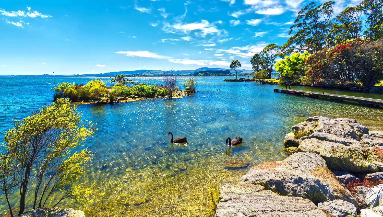 Lake Rotoroa, Hatupatu Drive car park, Scenic Point, Rotorua, New Zealand