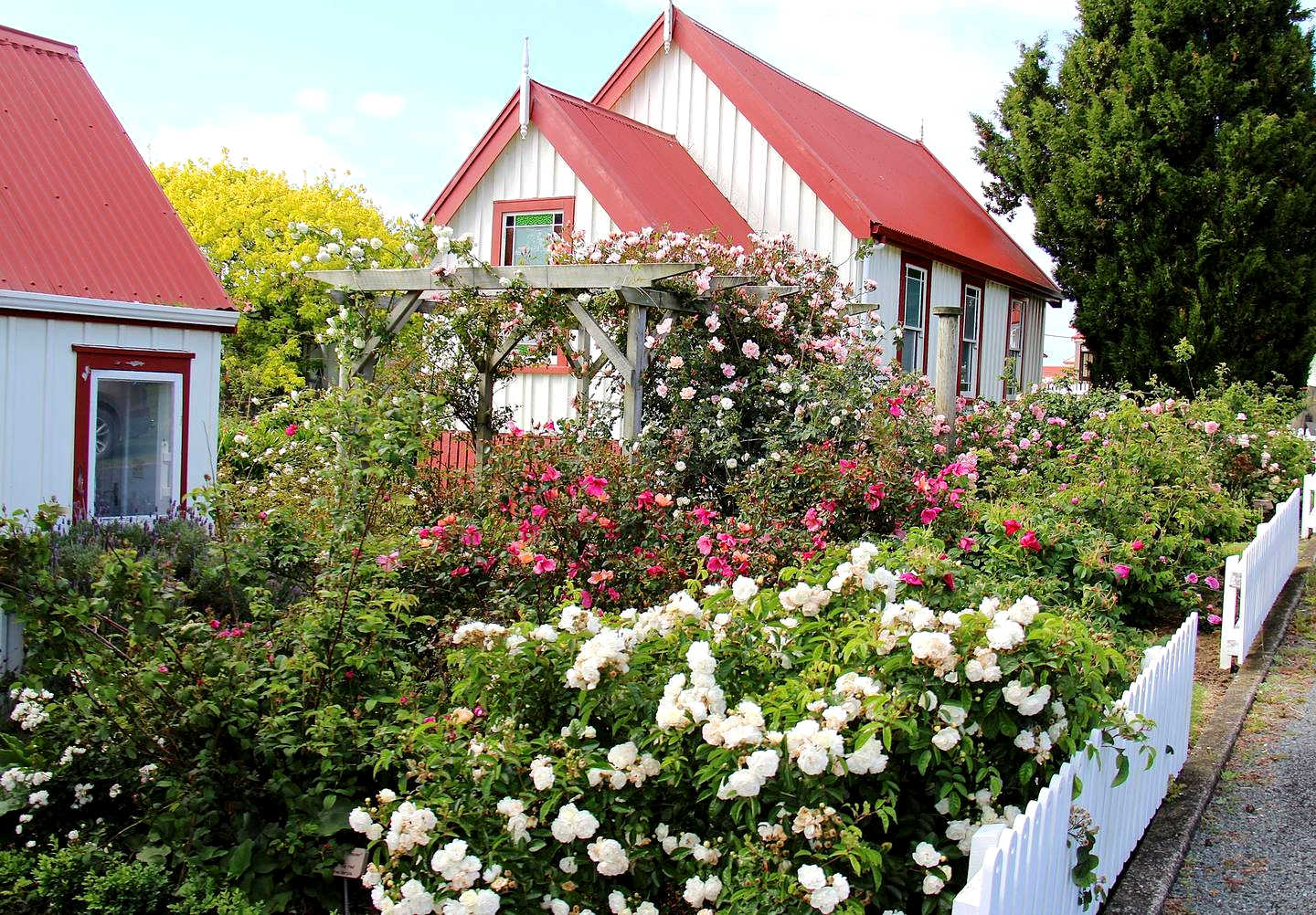 Matakone Rose Gardens @NZHerald