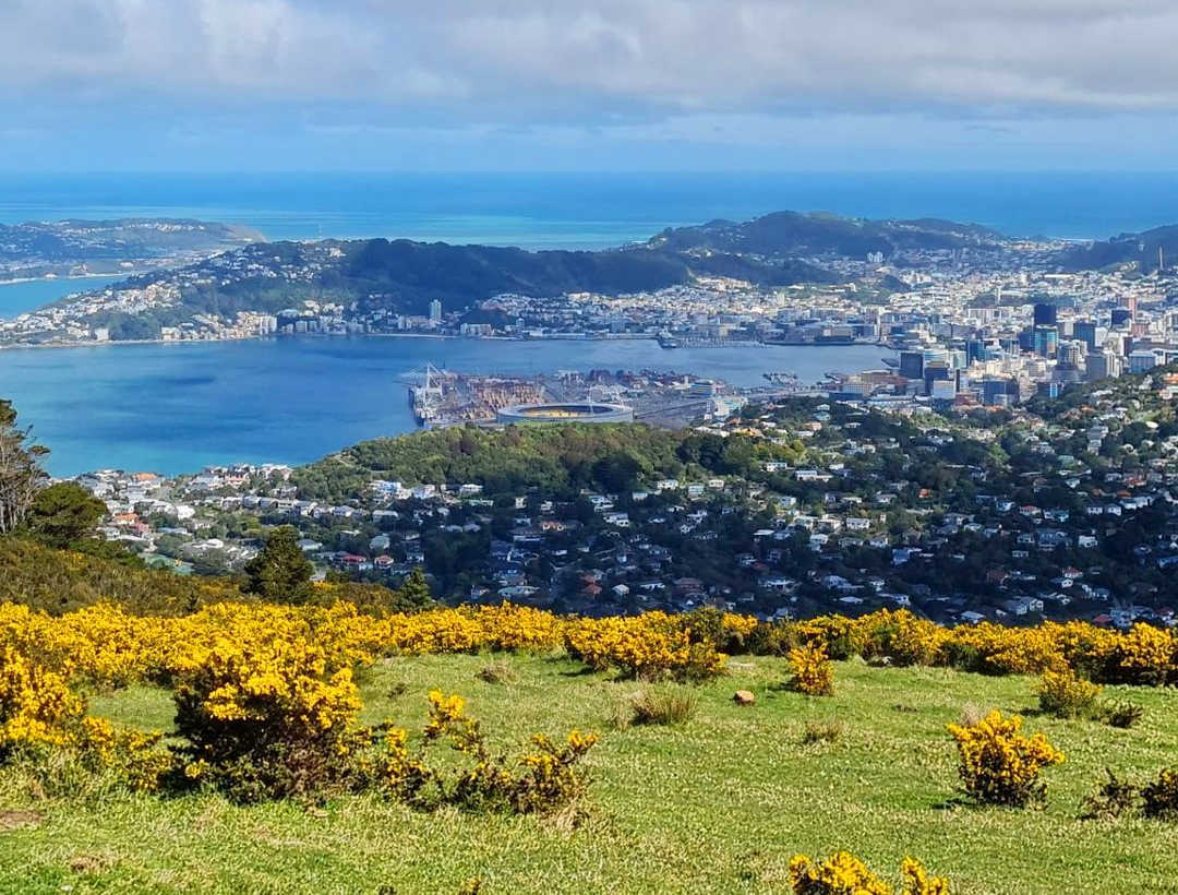 Mount Kaukau, Wellington, New Zealand @17sc12