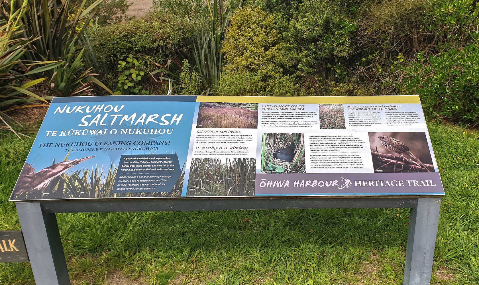 Nukhuou Salt Marsh info plaque Bay of Plenty, New Zealand