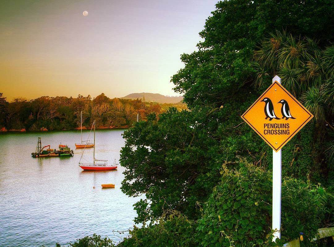 Penguins crossing road sign, Northland, New Zealand @Martin & Debs New Zealand