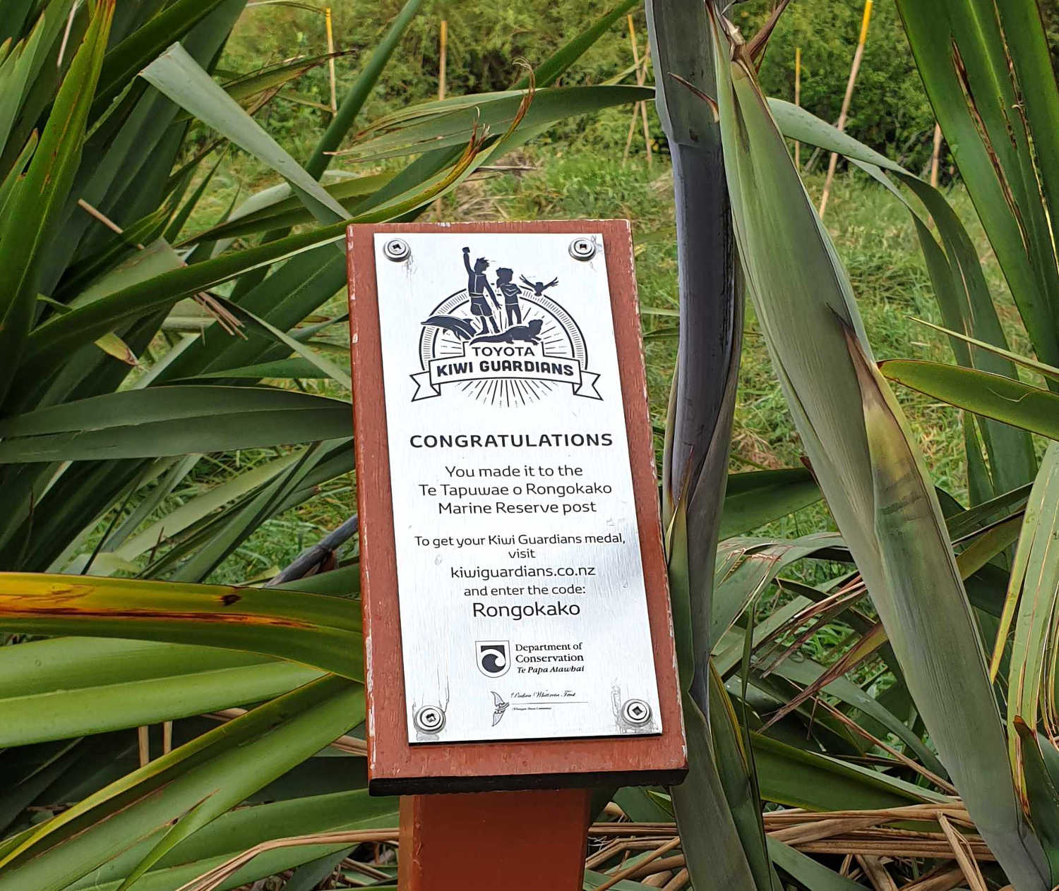 Rongokako Marine Reserve, Gisborne Kiwi Guardians award, New Zealand