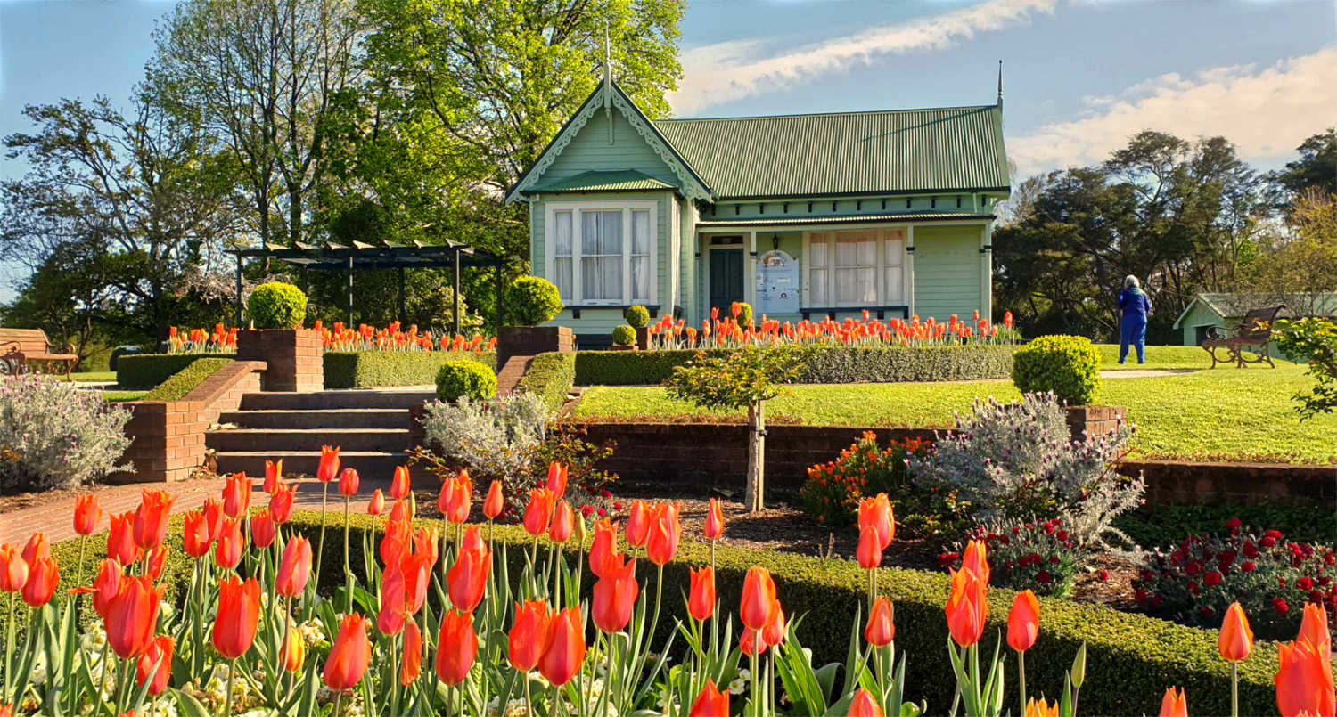 Rotorua Government Gardens spring tulips, New Zealand