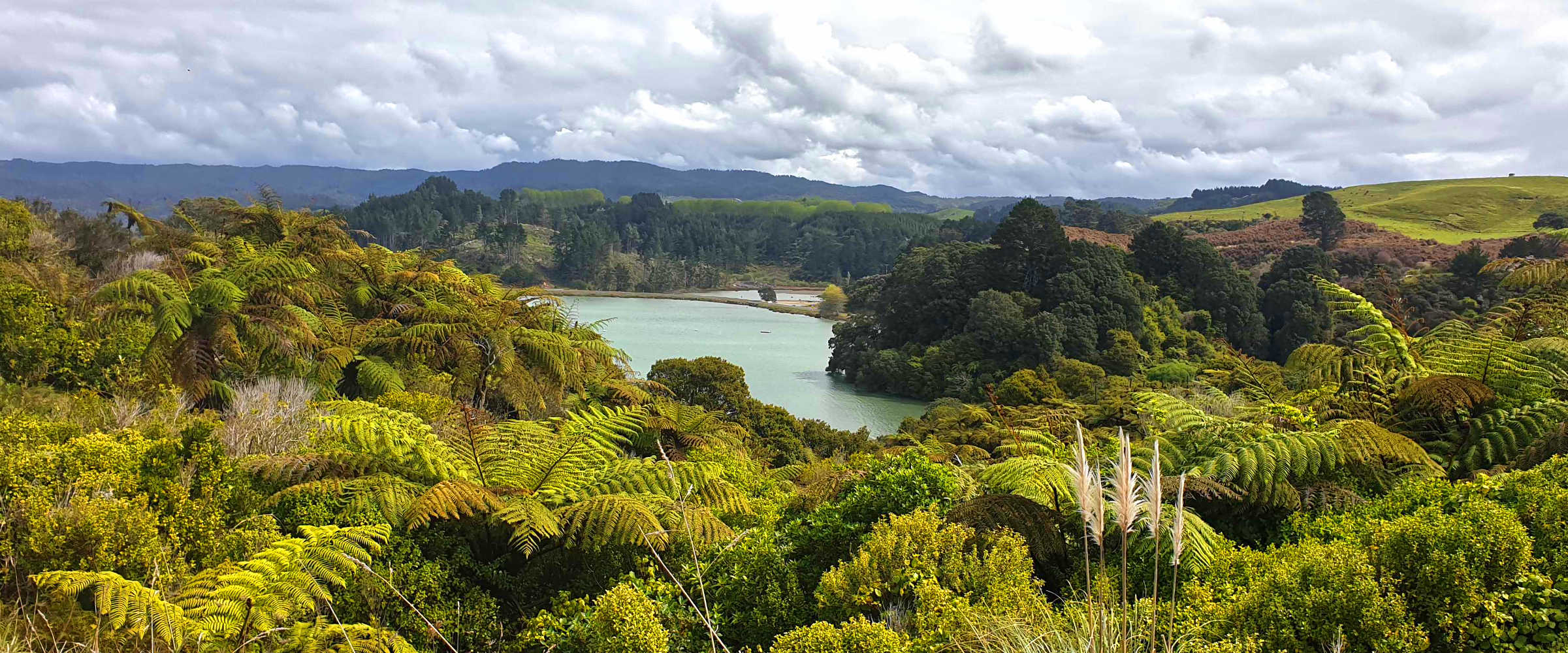 Tauwhare Pa site scenic view of inner waterways, Bay of Plenty, New Zealand