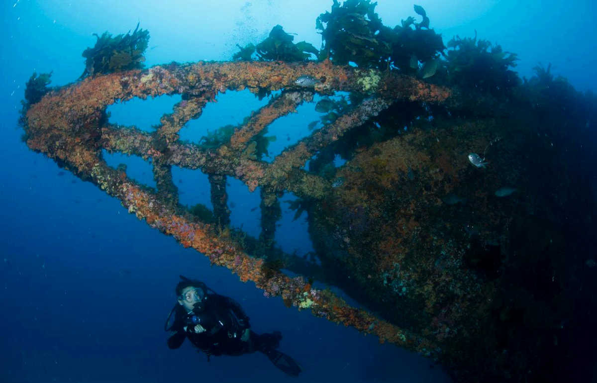 The Rainbow Warrior Wreck @Paihia Dive Resevations