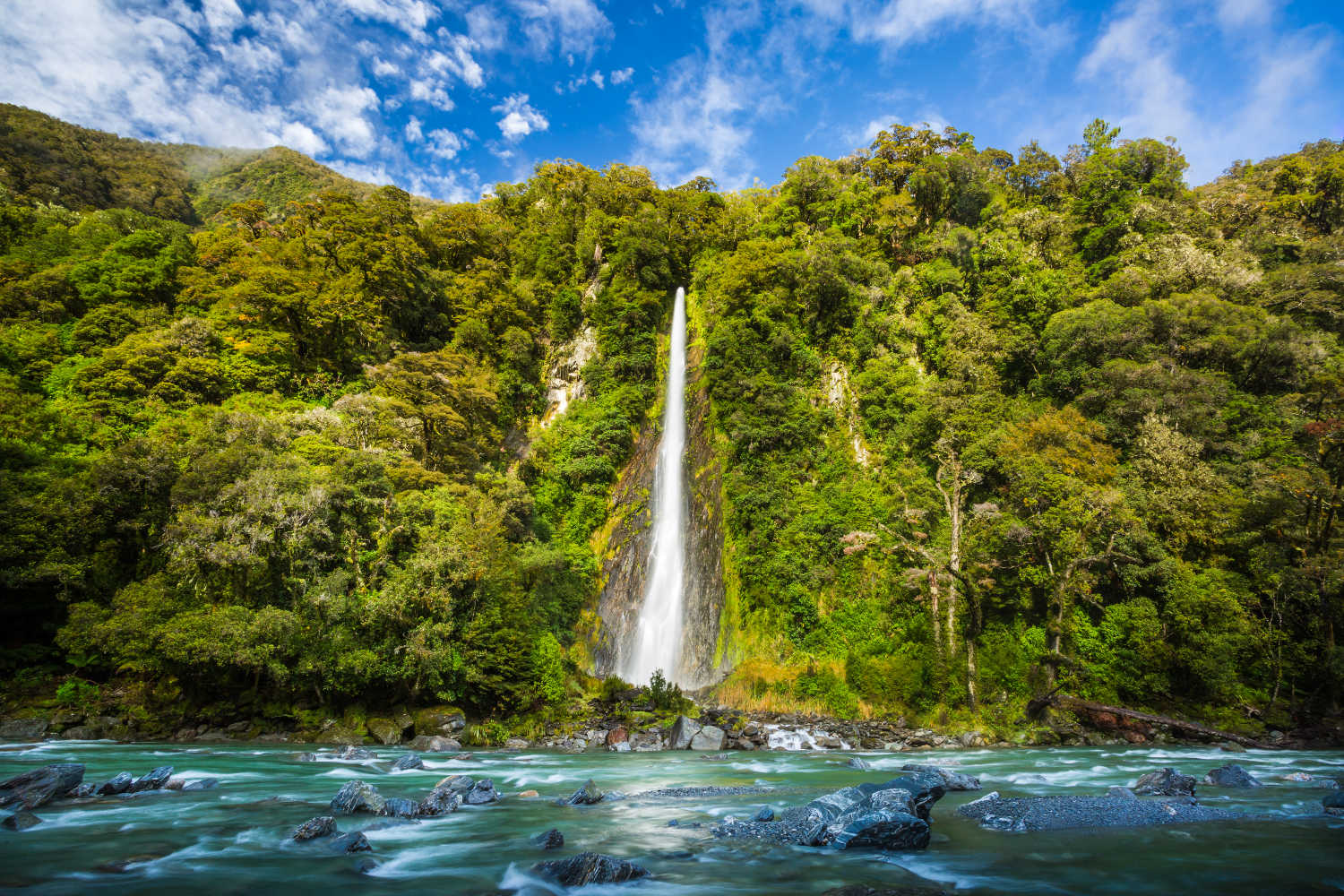 Thunder Creek Falls in Haast Pass, New Zealand