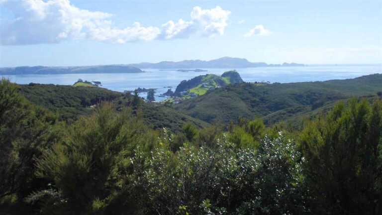 Views of the Bay of Islands from the Flagstaff Hill summit (Te Maiki) @DOC / Dan Nelson