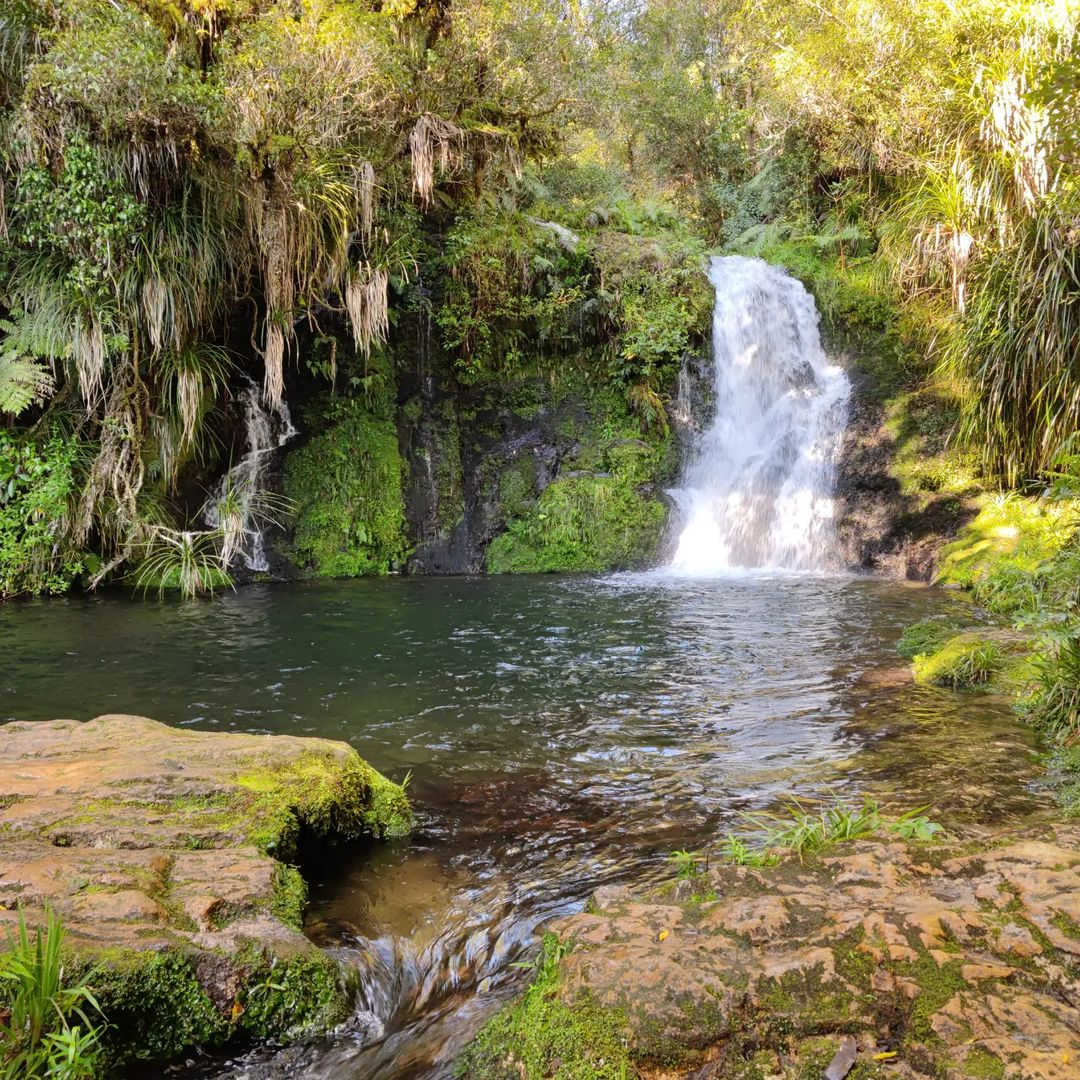 Whataroa Falls, Te Puke, Tauranga & Bay of Plenty, New Zealand @Loganthearrowsmith