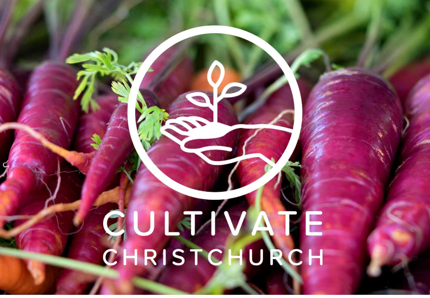 Cultivate Christchurch @CultivateChCh