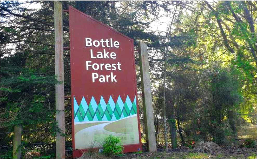 Bottle Lake Forest Park @NZ Herald