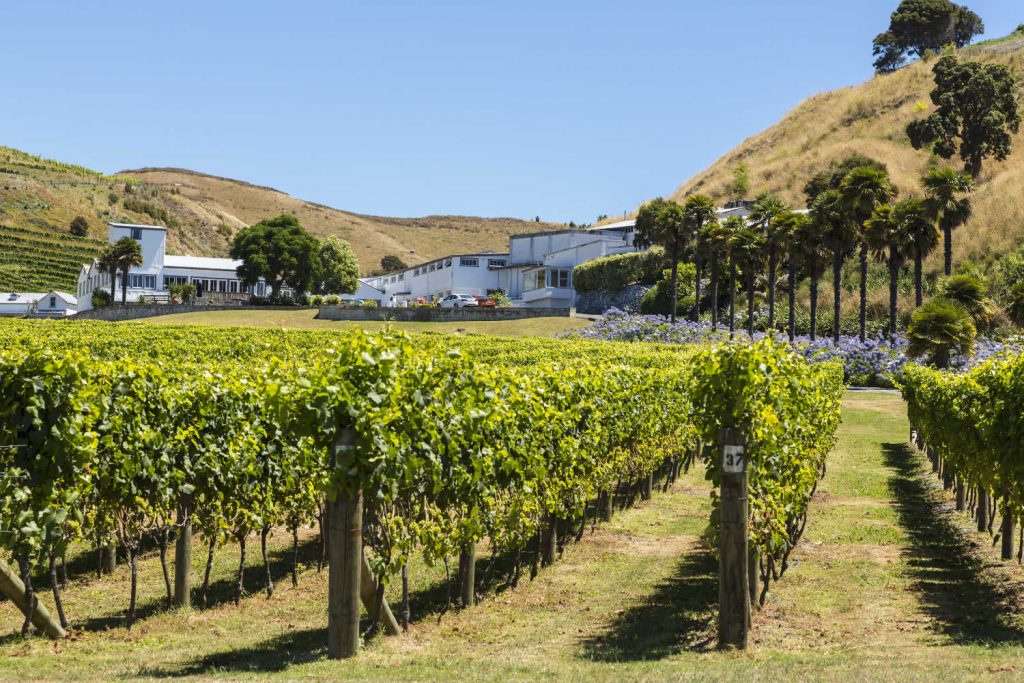 Esk Valley winery and vineyard. Hawke's Bay is the oldest wine region in NZ and the 2nd largest, New Zealand