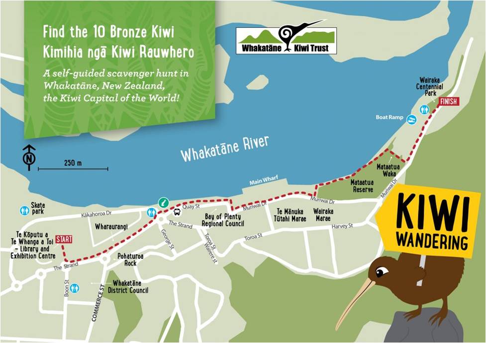 Kiwi Wandering Trail