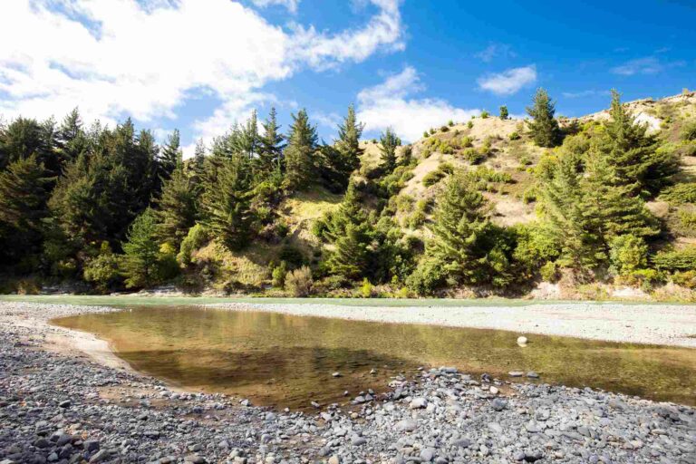 Mohaka River near Pungahuru waterfalls in Napier Taupo highway North Island NZ
