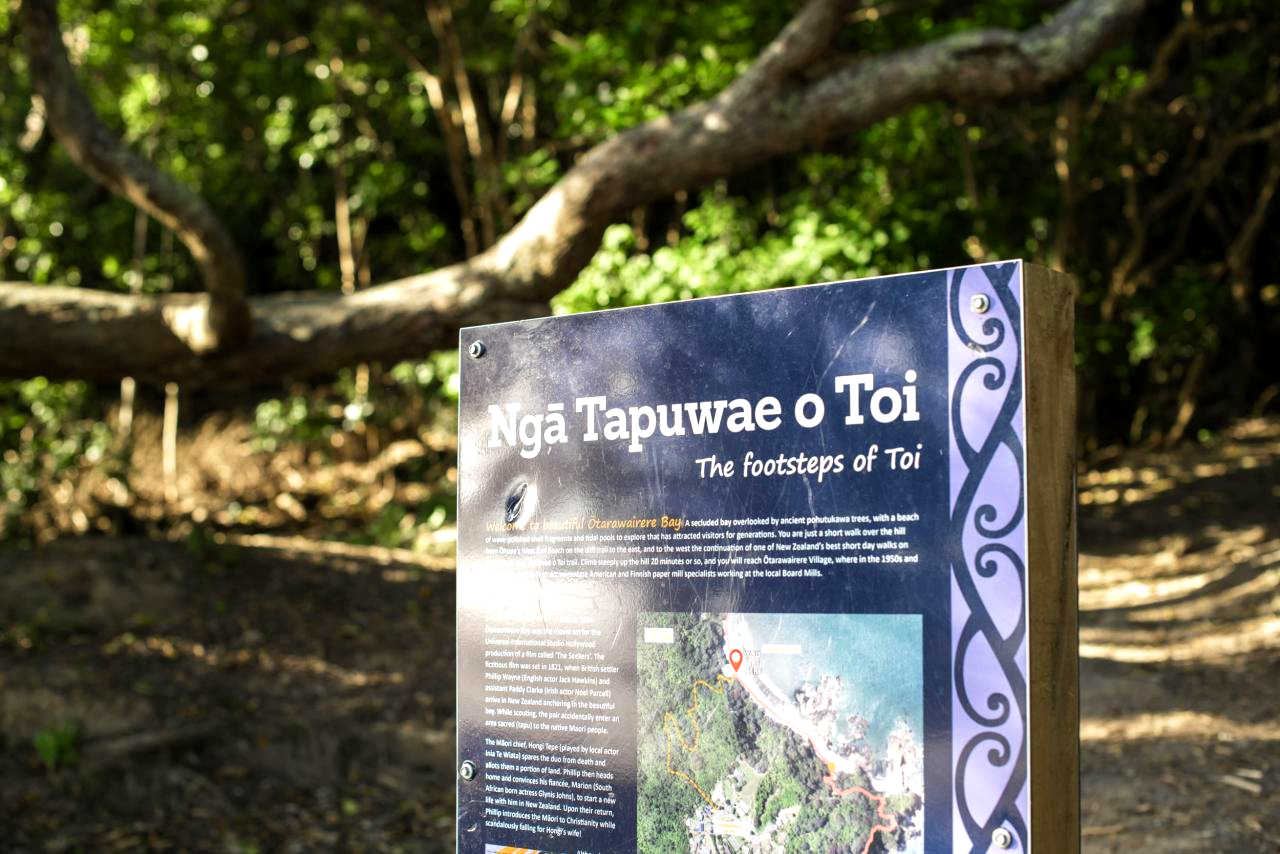 Nga Tapuwae O Toi Walkway @Whakatane