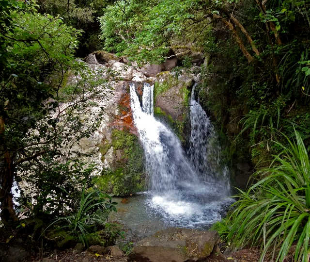Sharplin waterfalls, New Zealand @Pinterest