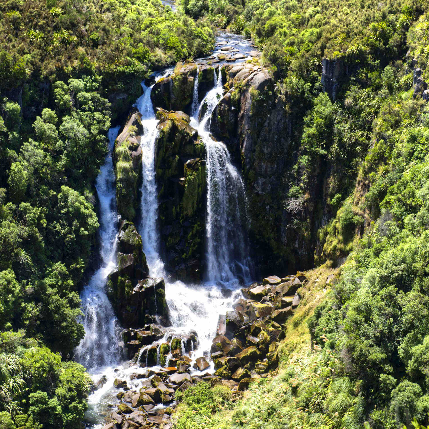 Waipunga Falls on the Waipunga River, west of Taupo