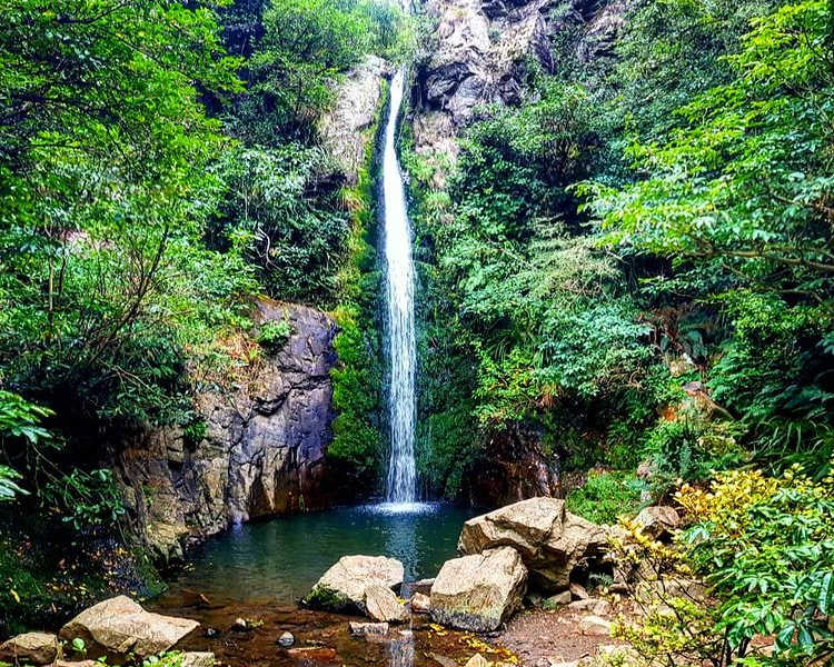 Washpen waterfalls, New Zealand @lisas.adventuress