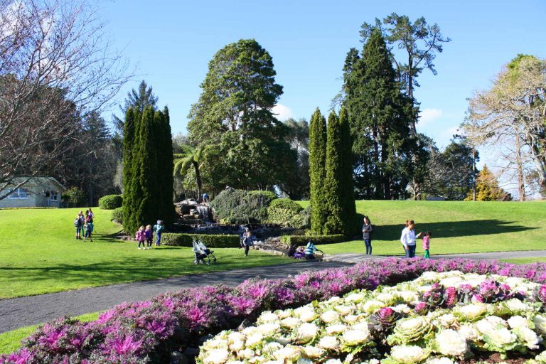 Yatton park, Tauranga, New Zealand @Danielle Wright