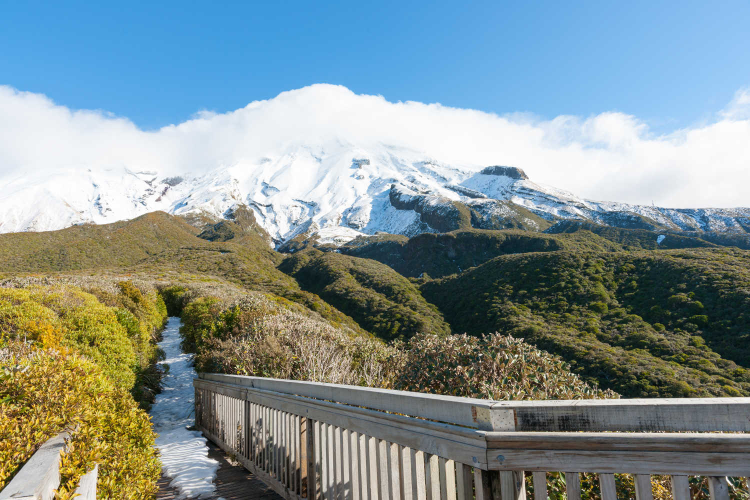 Alpine vegetation below Mount Egmont with track covered in snow leading through kamahi forest to slopes of mountain, Taranaki, New Zealand