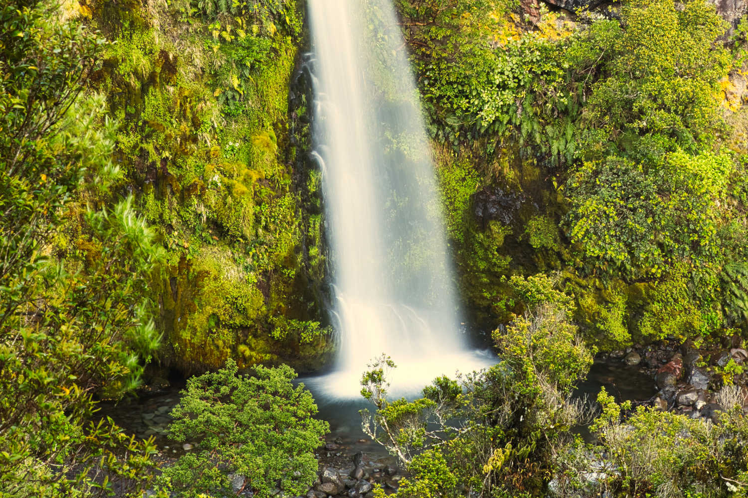 Egmont National Park, Dawson Falls, Taranaki, New Zealand
