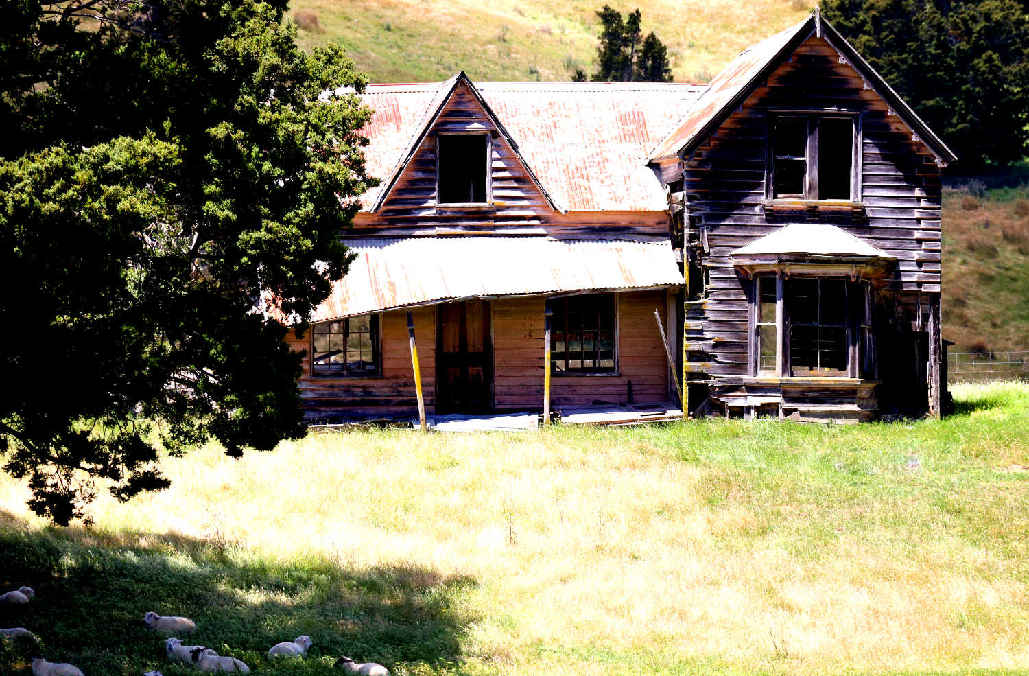 Nelson to Murchison abandoned home Spring Grove, New Zealand