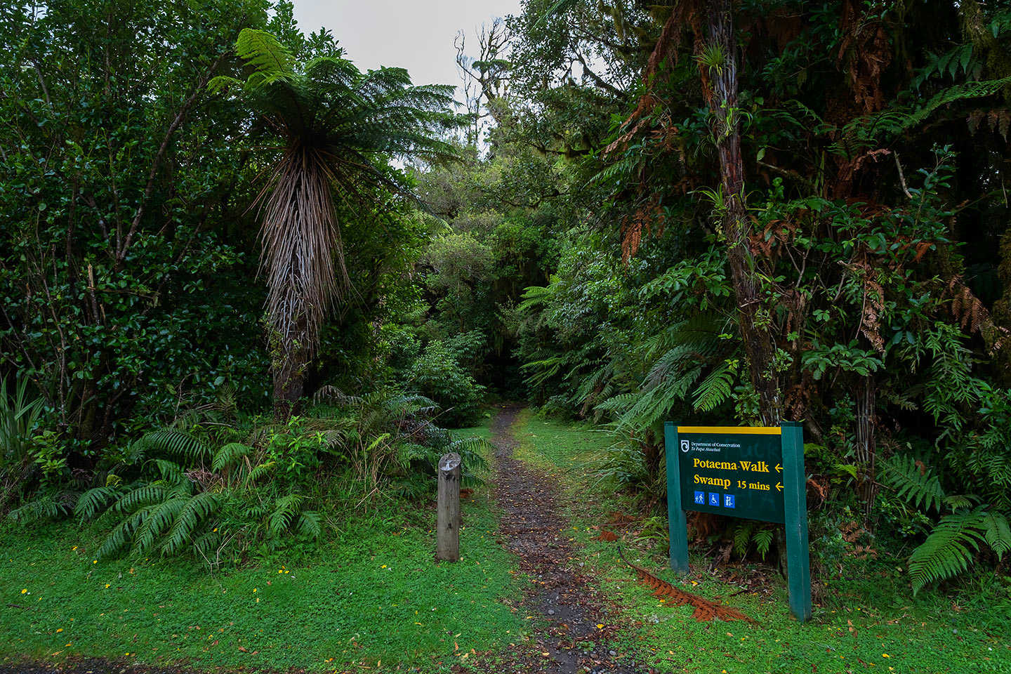 Potaema Track, Egmont National Park, New Zealand @Black Pete