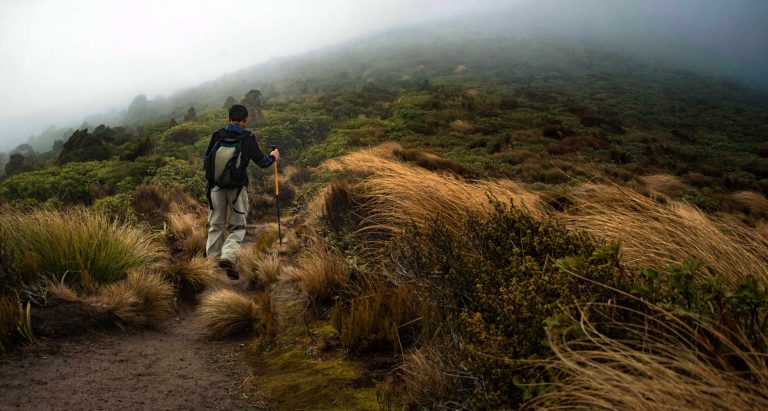 Hiking Pouakai crossing in bad weather with strong wind and poor visibility. Under prepared for the rapid changing conditions of Egmont National Park, New Zealand
