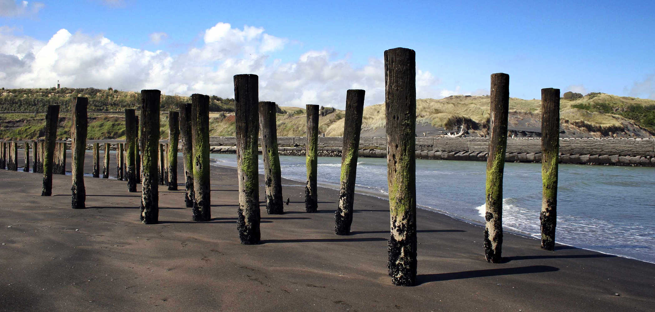 Wooden poles stand out of the sand at Patea, Taranaki