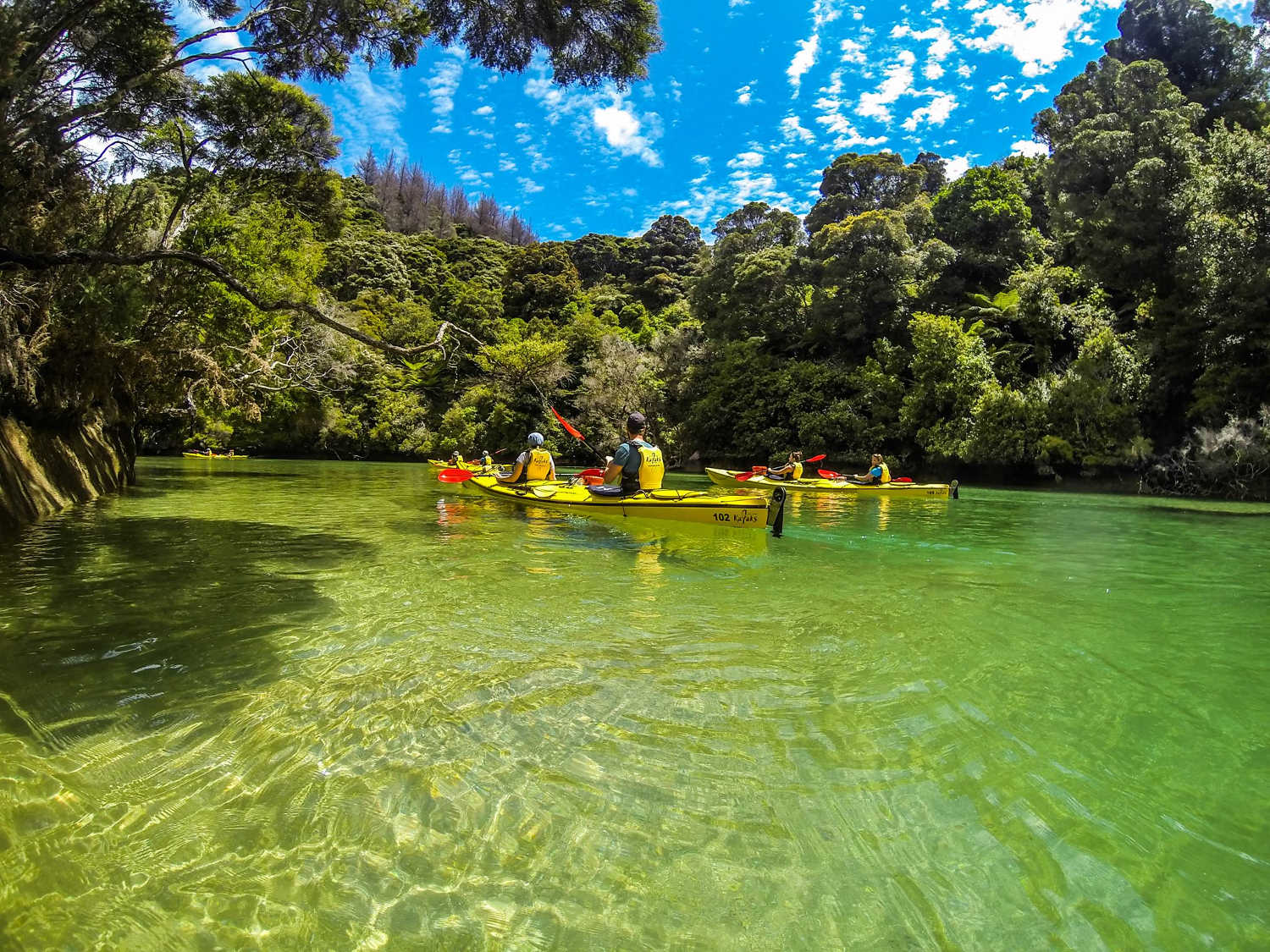 @Abel Tasman Kayaks