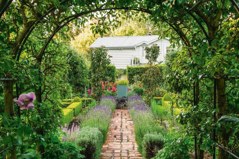 Barewood Garden in Marlborough New Zealand @barewoodgarden