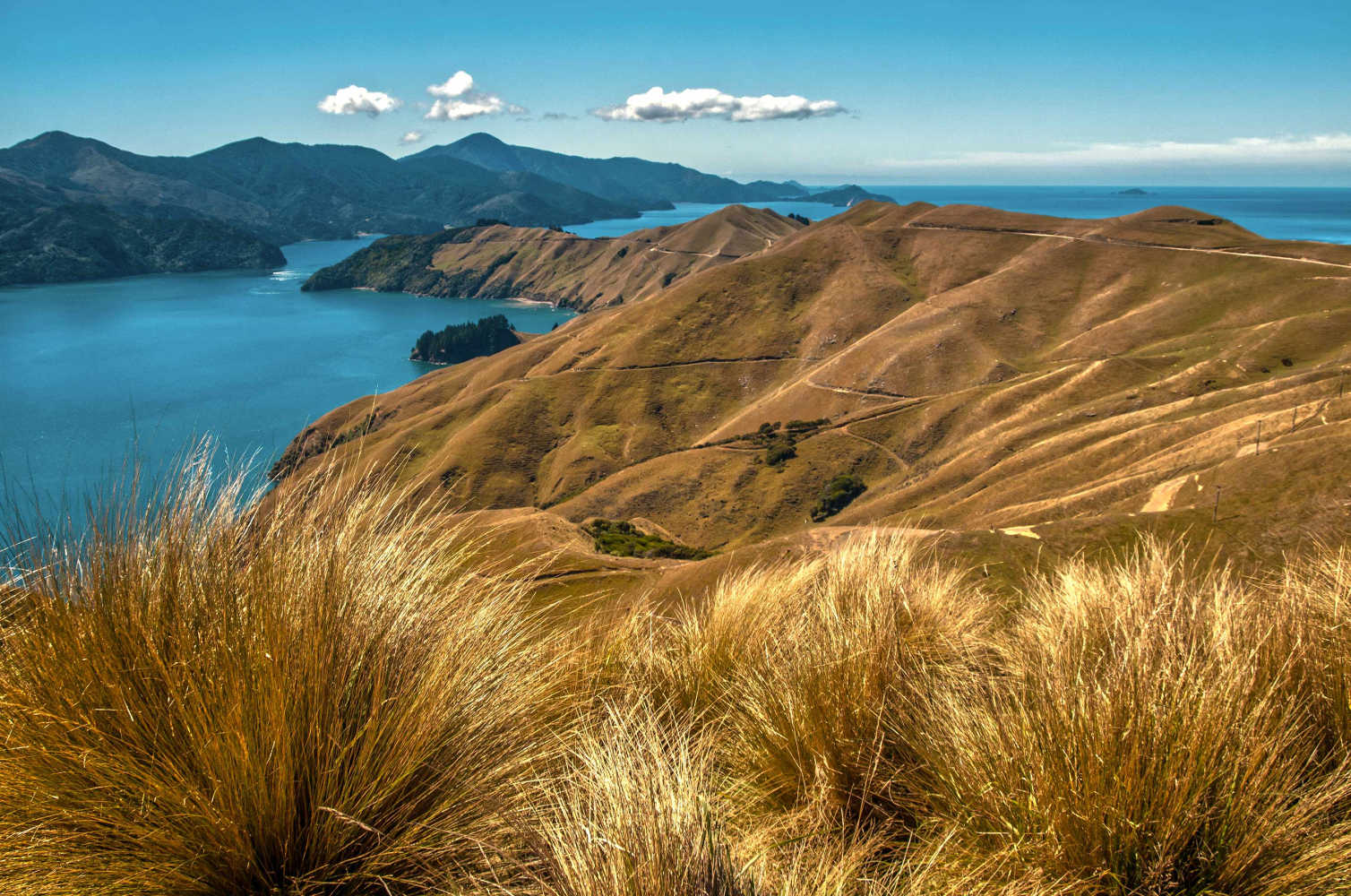 View over French Pass, Marlborough Sounds