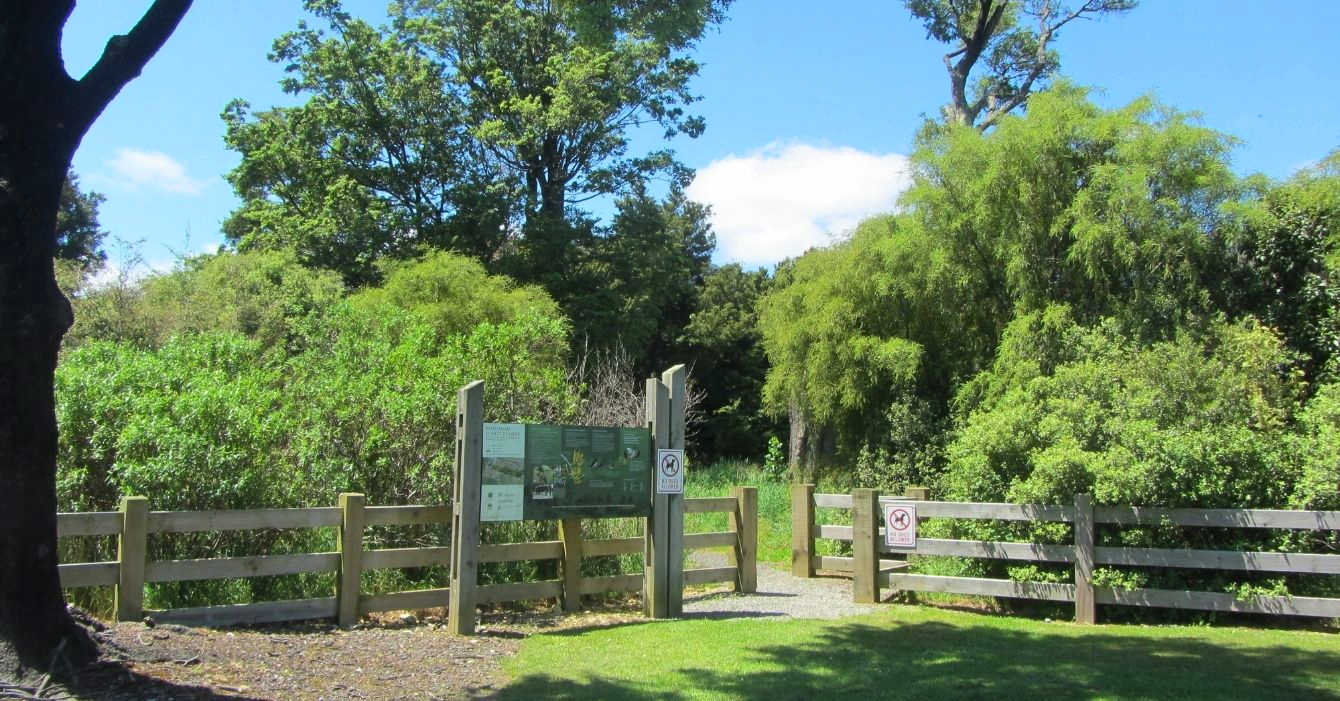 Koromiko Forest Reserve, Marlborough, New Zealand @Marlborough District Council