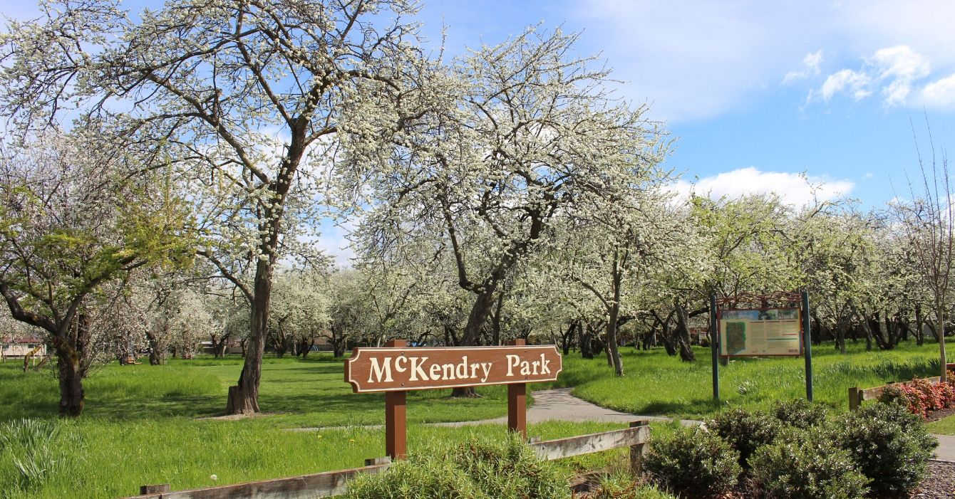McKendry Park, Marlborough, New Zealand @Marlborough District Council