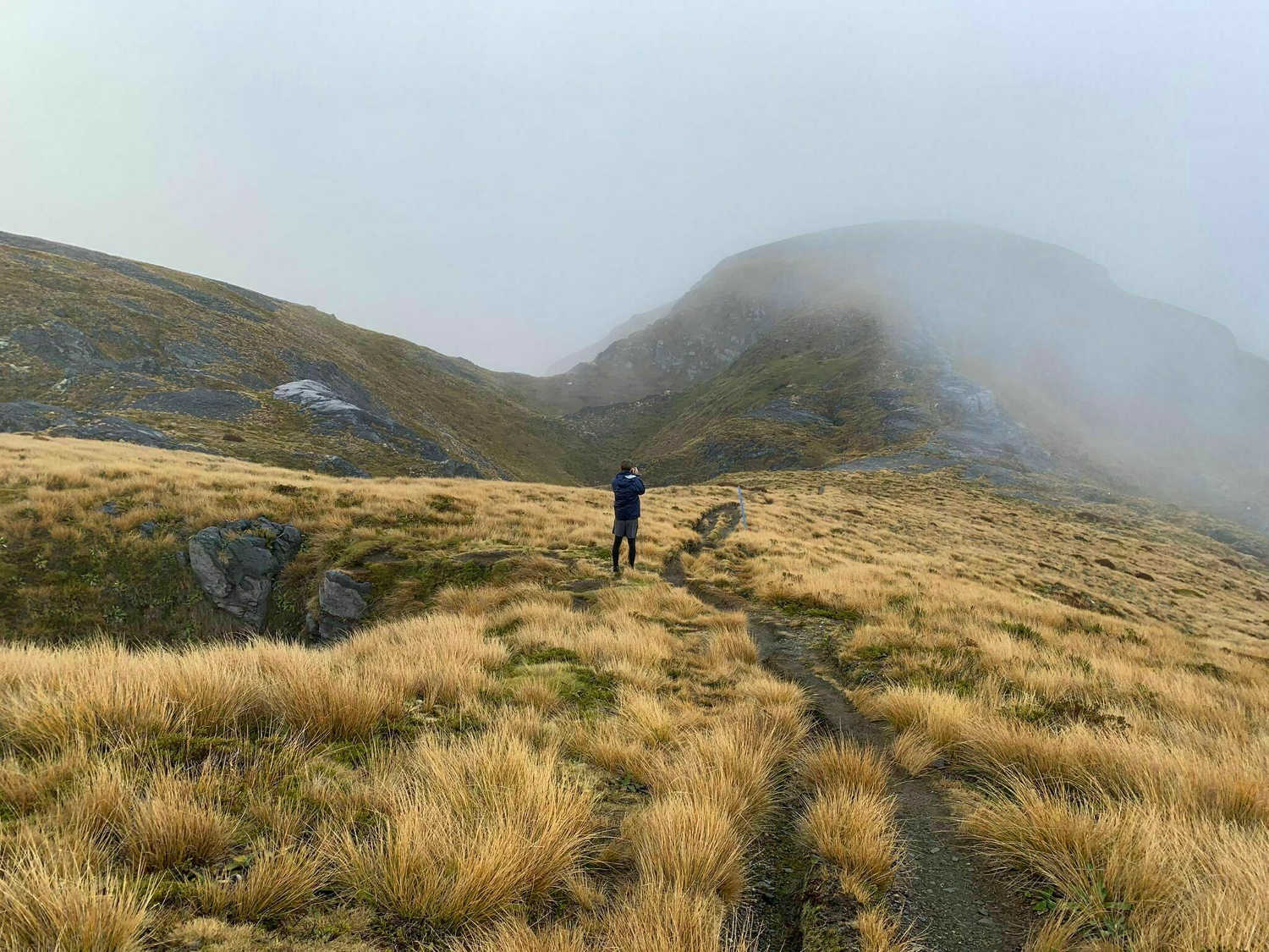 Pitt Head Lookout Trail, Nelson, New Zealand @alltrails