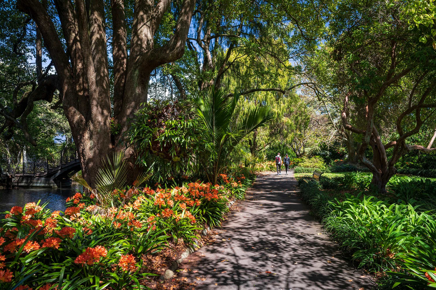 Queens Gardens, Nelson, New Zealand @Oliver Weber