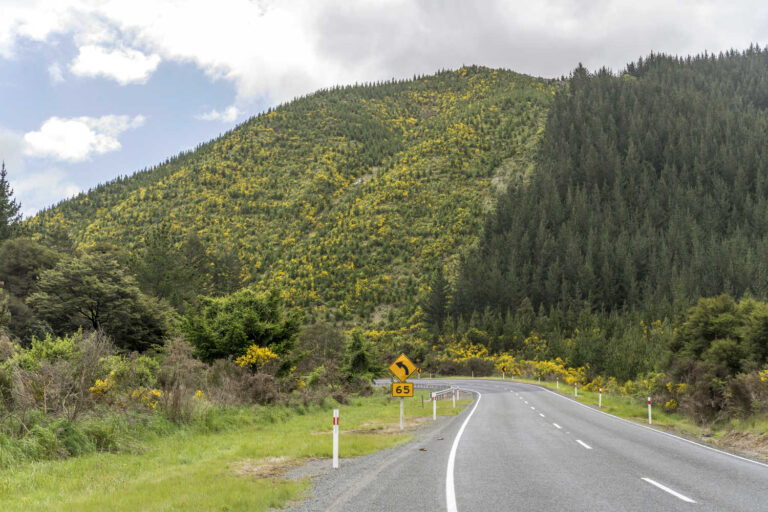 Rai Valley, Marlborough, South Island, New Zealand