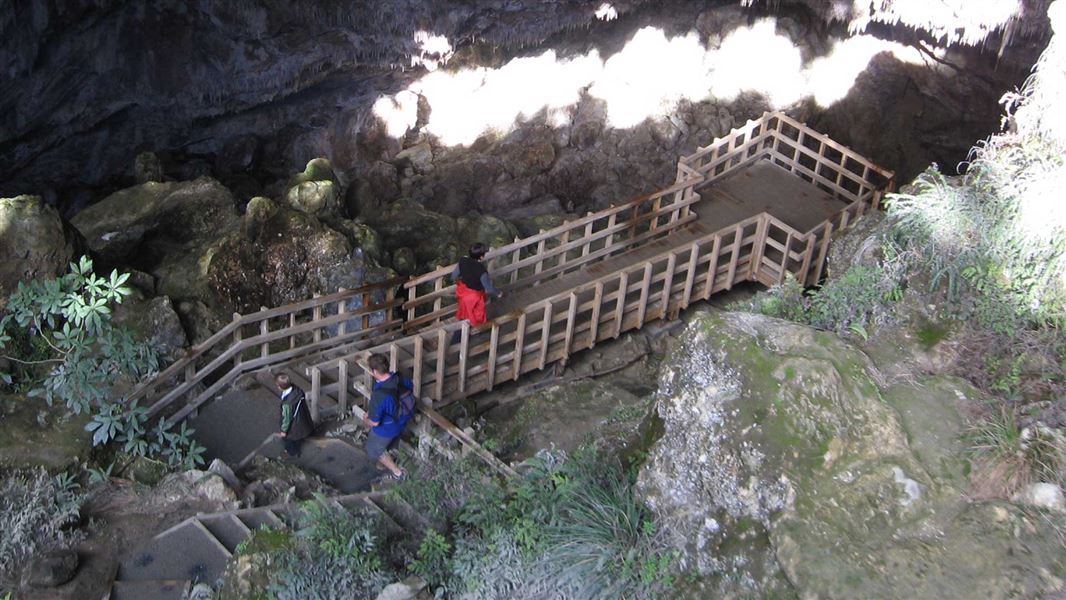 Rawhiti Cave viewing platform @DOC / Neil Murray