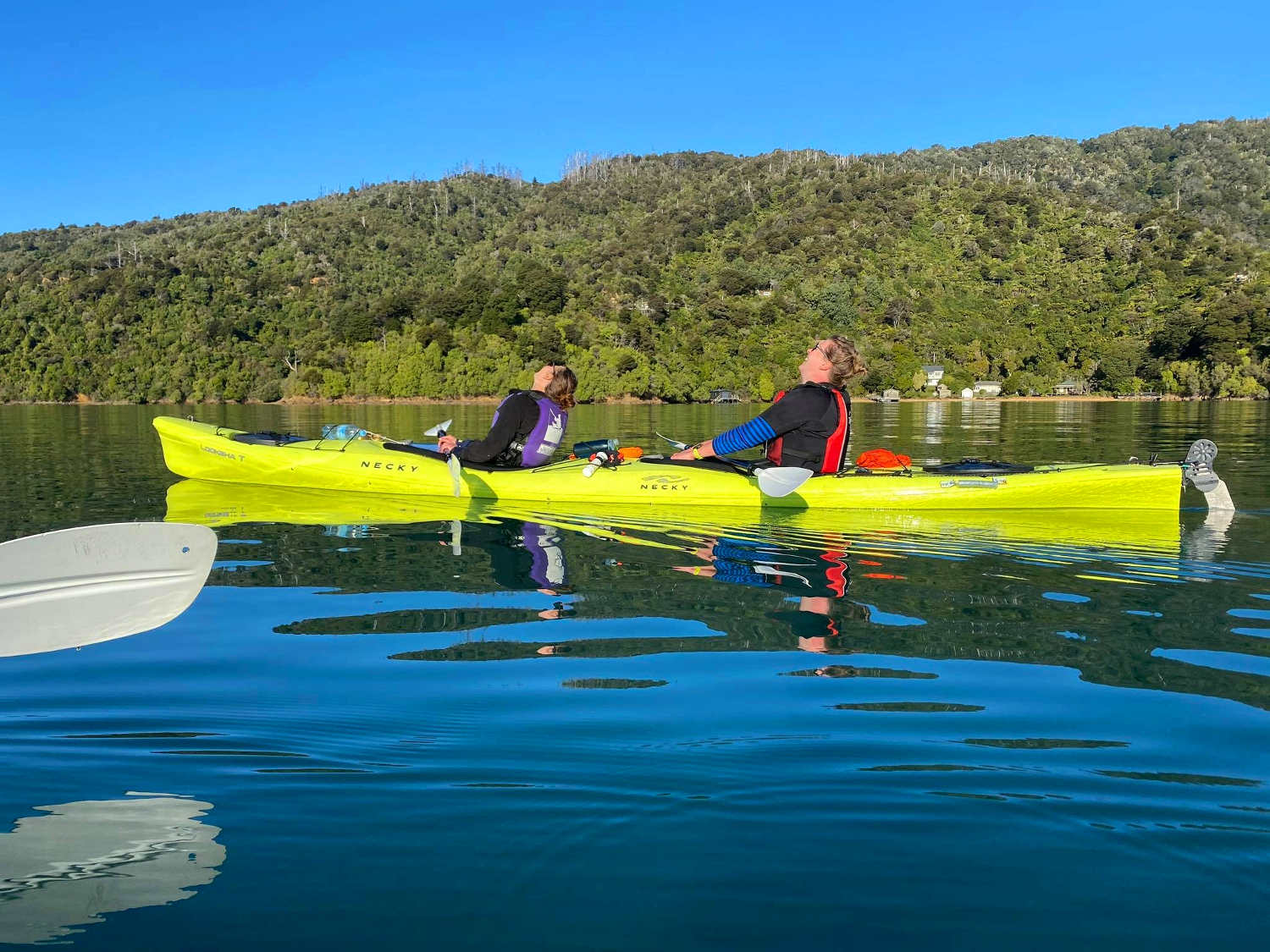 Sea Kayaking - Marlborough Sounds, Picton, Marlborough, New Zealand @Marlborough Sounds