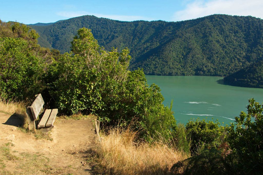 View of Pelorus Sound from Cullen Point Lookout on Queen Charlotte Drive, Marlborough Region on South Island of New Zealand
