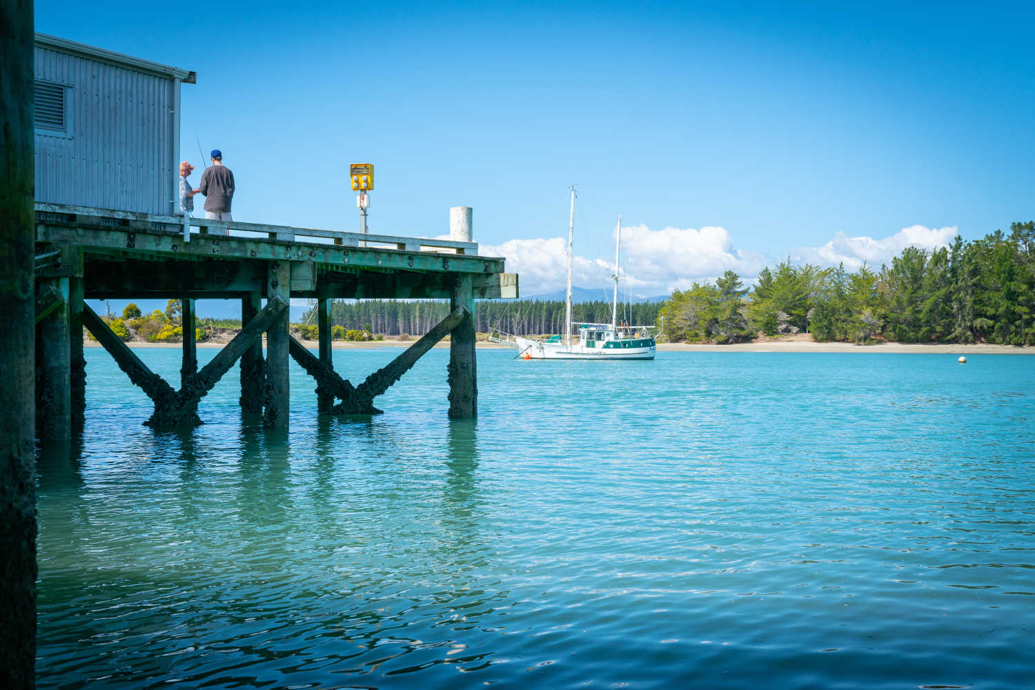 Wharf on inlet know as Waimea Estuary on Tasman Bay, Mapua