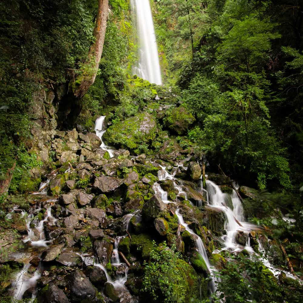 Whisky Falls, Nelson, New Zealand @Walk My World
