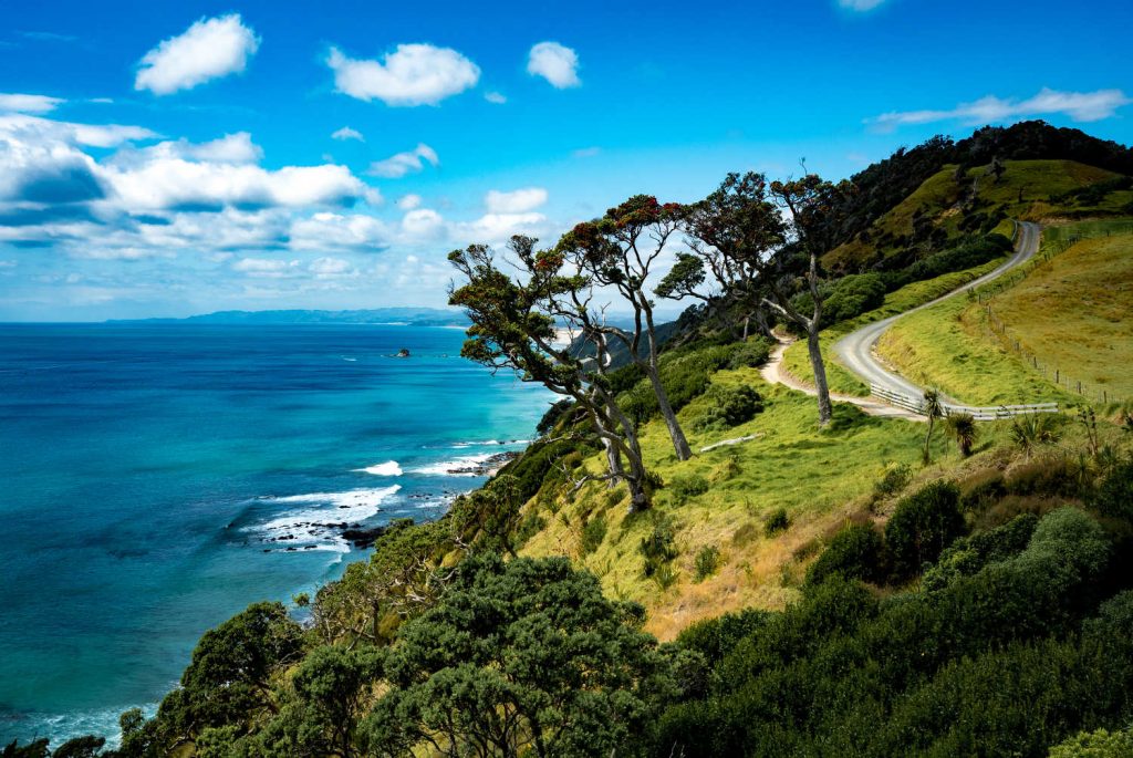 A view along the coastline of the Pacific Ocean from the famouse Mangawhai Heads walk in Northland, New Zealand