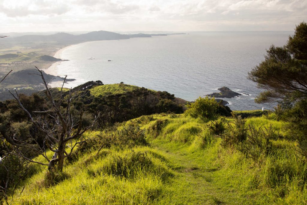 Bream Head and Whangarei Heads from the Mount Lion hiking track in Northland, New Zealand