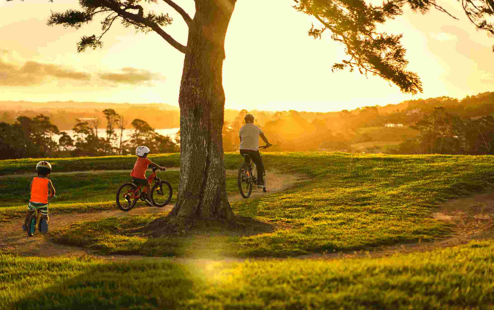 Enjoying outdoors during sunset while riding bike on a track, Cornwall Park, Auckland, New Zealand