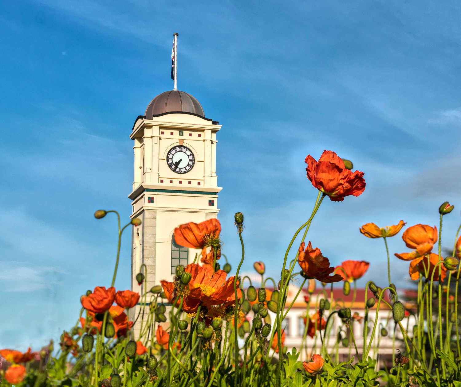 Feilding town clock, Wellington, New Zealand