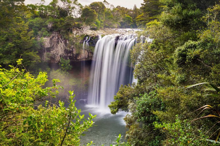 The scenic 'Rainbow Falls' at the beautiful Kerikeri is a must to visit spot of Northland New Zealand