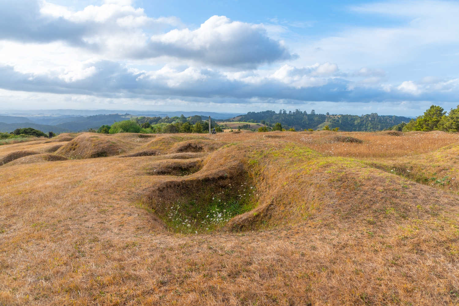 Ruapekapeka pa - ruins of a maori fortress in New Zealand