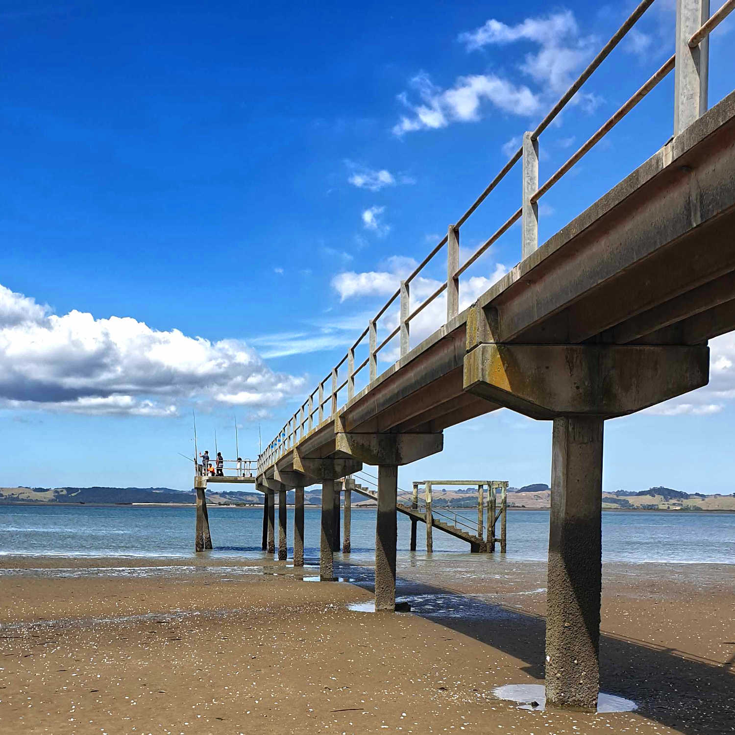 Shelly Bay, Kaipara Harbour, jetty at low tide, note high tide mark, New Zealand