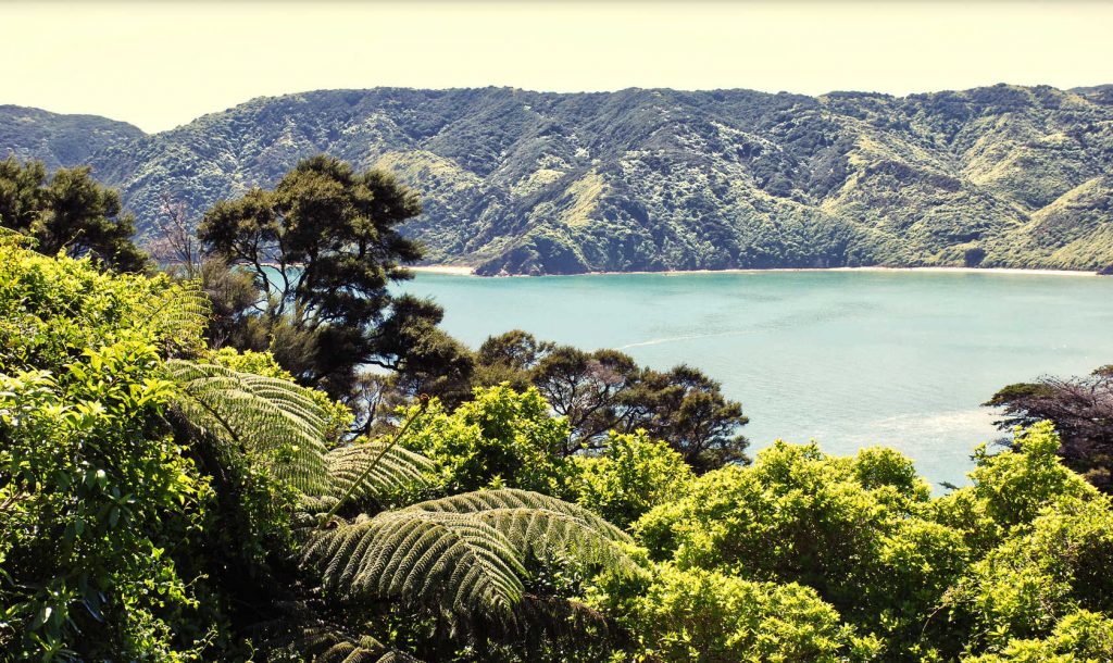 Looking out over Wainui Bay from Wainui Hill, Abel Tasman National Park, Takaka, Golden Bay, in New Zealand's South Island.